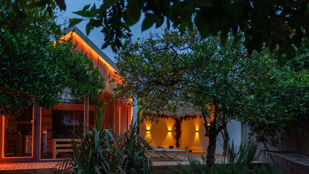 A modern building with a glass facade, a wooden deck, and a garden area with plants and a hammock.