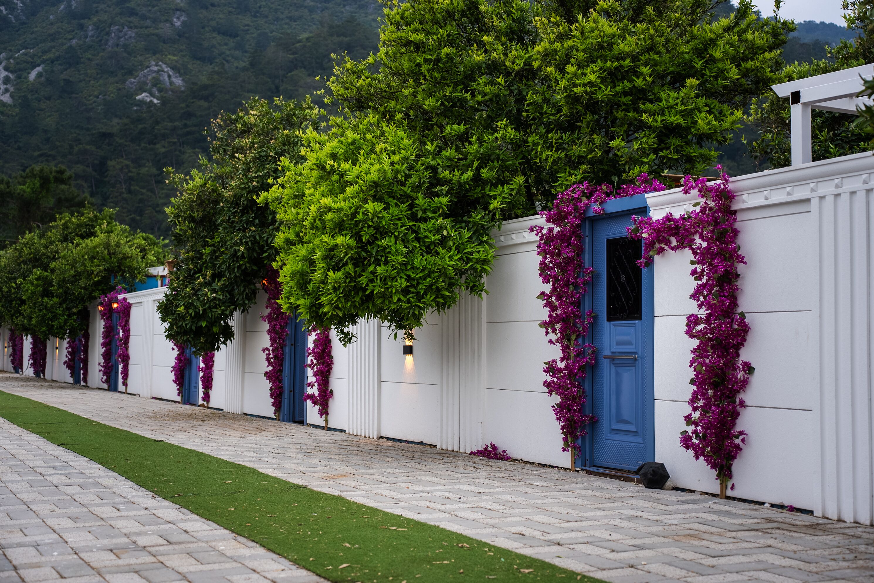 Foto - Collesium Garden