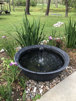 Property grounds - Down on the Bayou (Ventress)