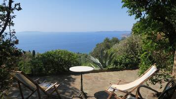 Terras