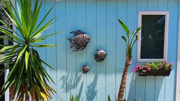 A blue house with three decorative fish mounted on the wall, a window with a flower box, and various tropical plants. - Tropical Tiny house with Outdoor jacuzzi & Gazebo (Tampa)