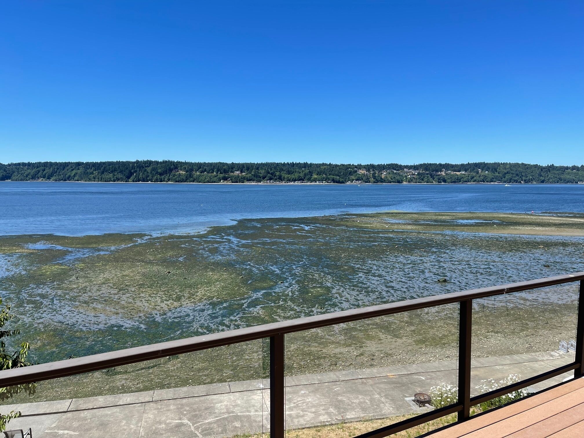 A waterfront view with a wooden deck and a metal railing.