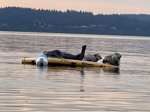 3 chambres, fer et planche à repasser, Wi-Fi gratuit, draps fournis