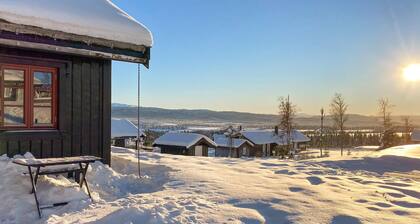 Stunning home in Gol with sauna