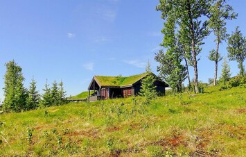 Eksteriør
