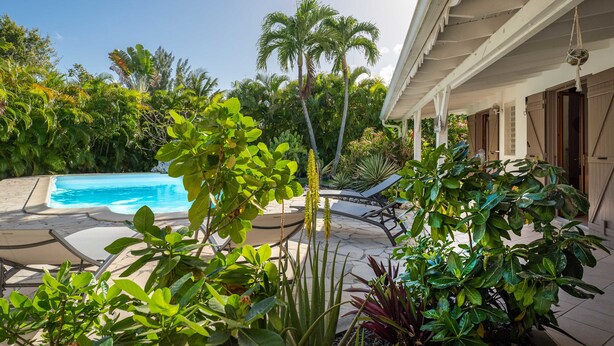 A pool area with a clear blue pool, surrounded by lush tropical plants and palm trees. - Villa Secrète, hidden from view and close to beaches and shops (Saint-François)