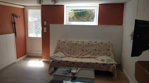 Smart-TV, Kamin