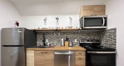 Trendy in Tremont, Cleveland U