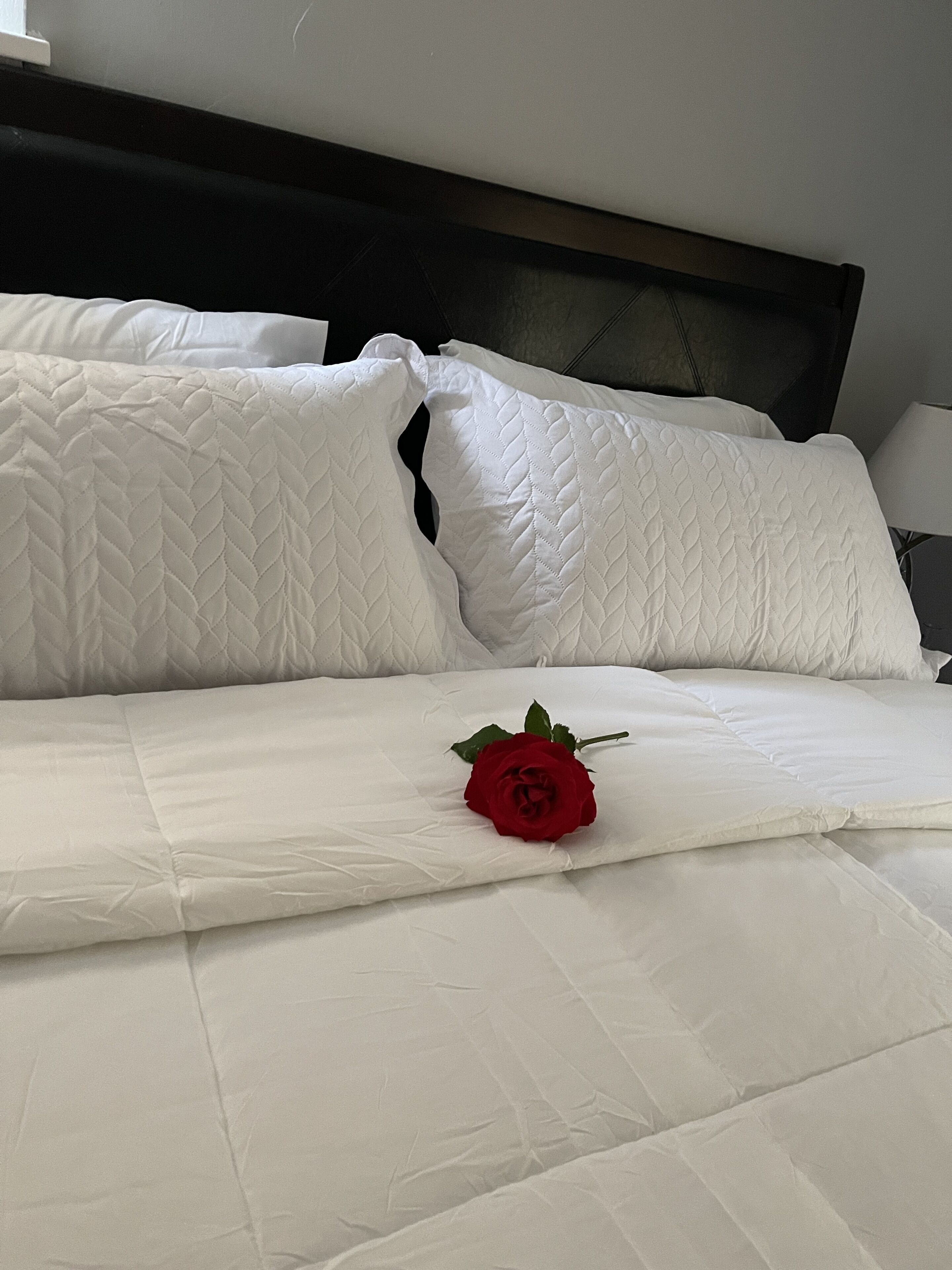 Two Story Home located in the City of Cleveland! 2 Bedrooms & Office in 3rd room