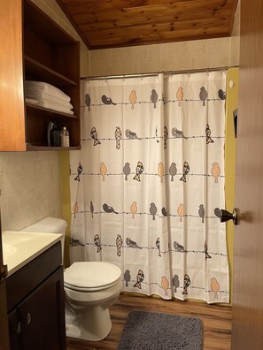 Secador de cabelo, toalhas de banho, sabonete, shampoo