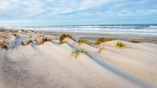 A sandy beach with dunes and sparse vegetation.
