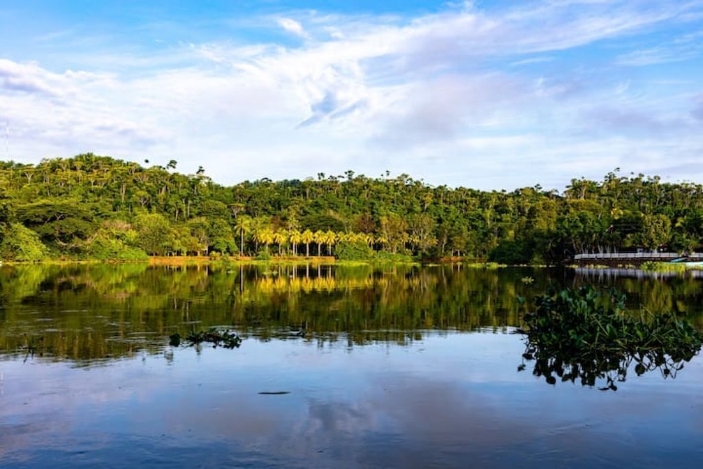Ein ruhiger See, umgeben von dichtem Grün und wolkenlosem Himmel.