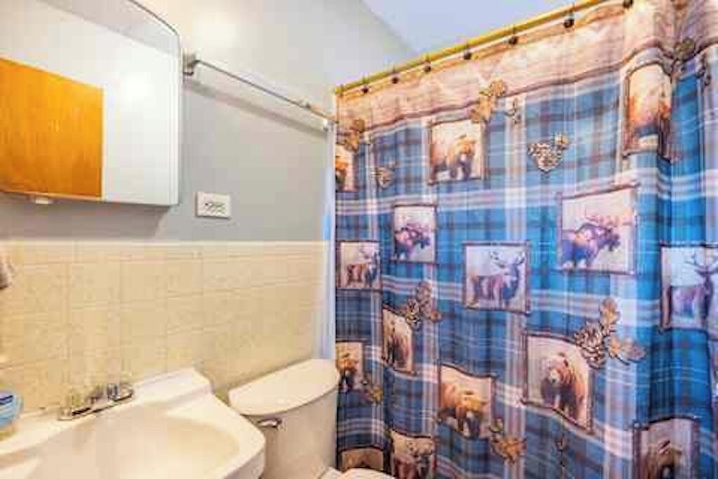 A bathroom with a toilet, sink, and shower curtain with animal prints.