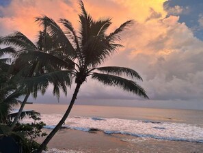 Un palmier se dresse devant une plage, avec des vagues et un ciel au coucher du soleil.