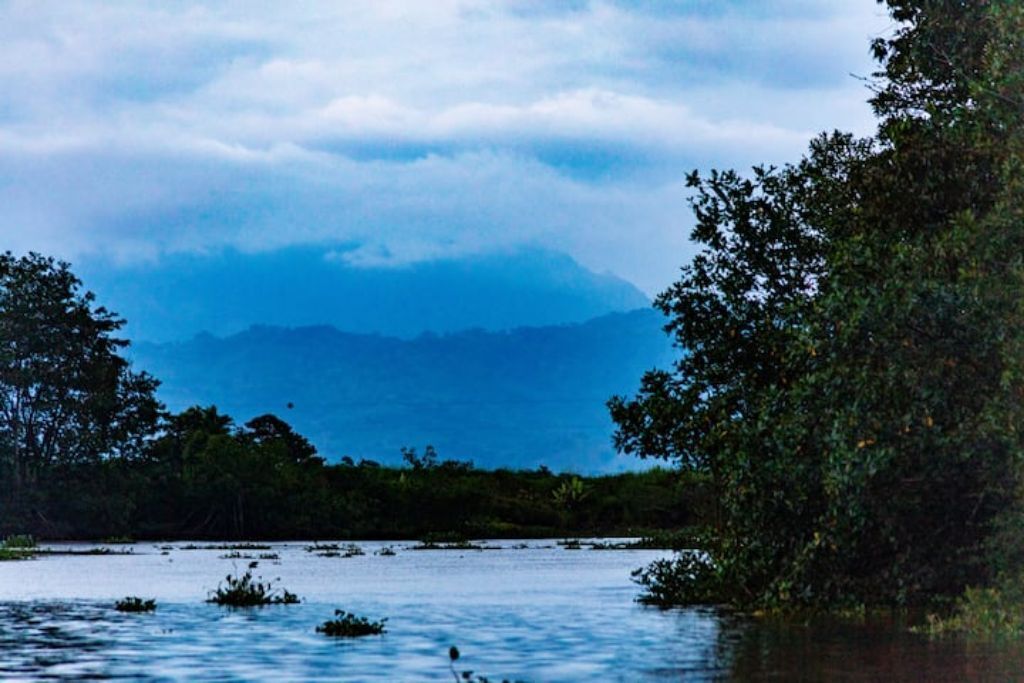 A calm river with trees on both sides and mountains in the background.