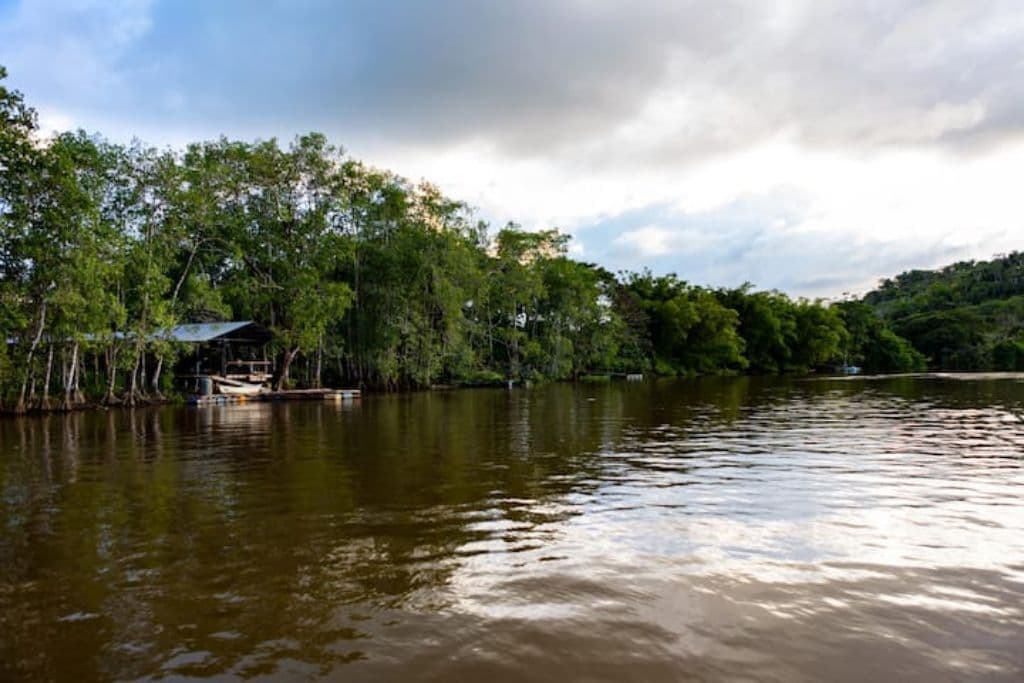 A calm river with a dock and a small building surrounded by dense trees.