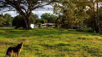 Overnatningsstedets område