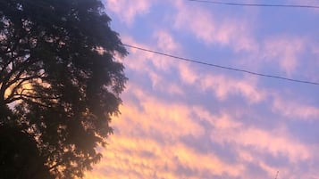 Altres