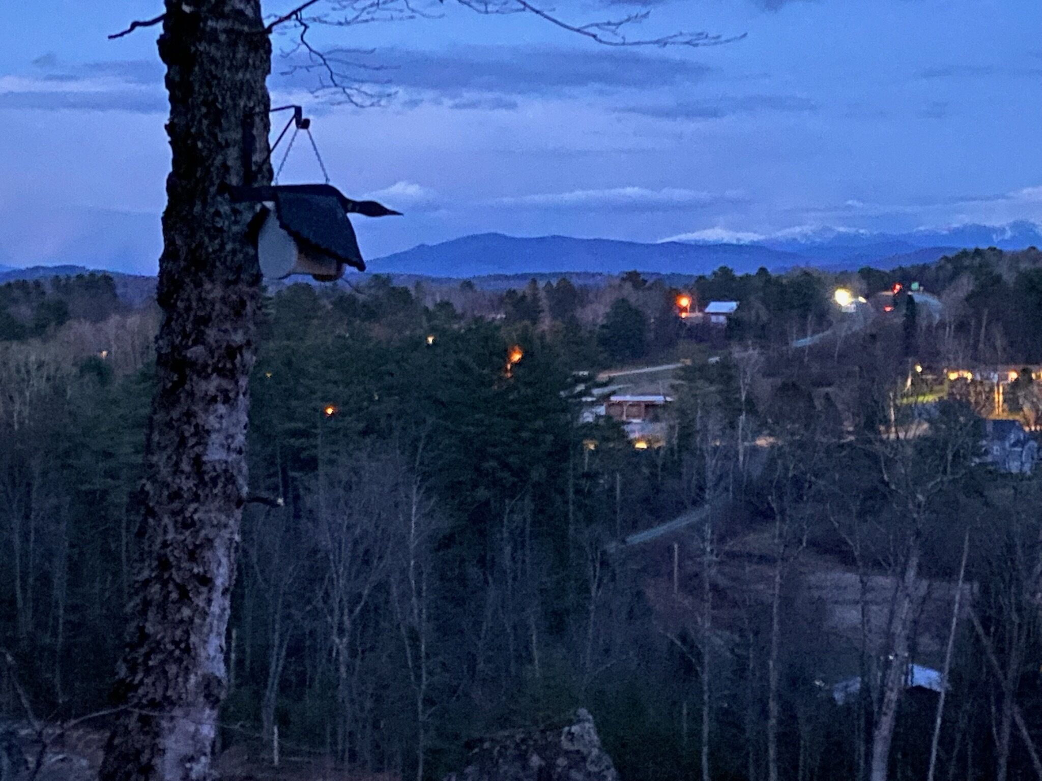 A mountainous landscape at dusk with a tree in the foreground and distant lights indicating buildings or houses.