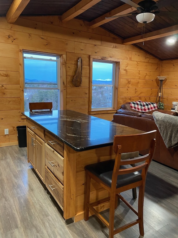 Steel Cabin Mt. Views Privacy Near Downtown - Franconia, NH