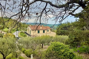 A house with a red-tiled roof, surrounded by greenery and trees.