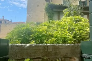 Terrain de l’hébergement 