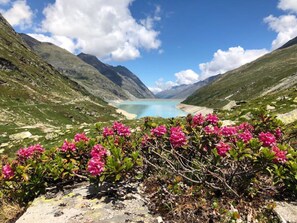 Miscellaneous - Ferienhaus Alea by Interhome (Saas-Grund)