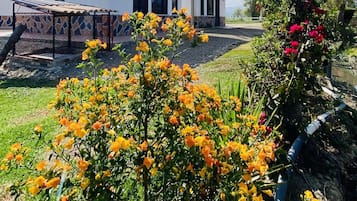 Senior Cabin | Egyptian cotton sheets, premium bedding, down duvets