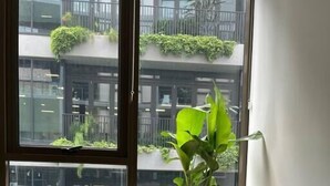 A modern living room with a grey sofa, a yellow cushion, and a large window overlooking a balcony with greenery.