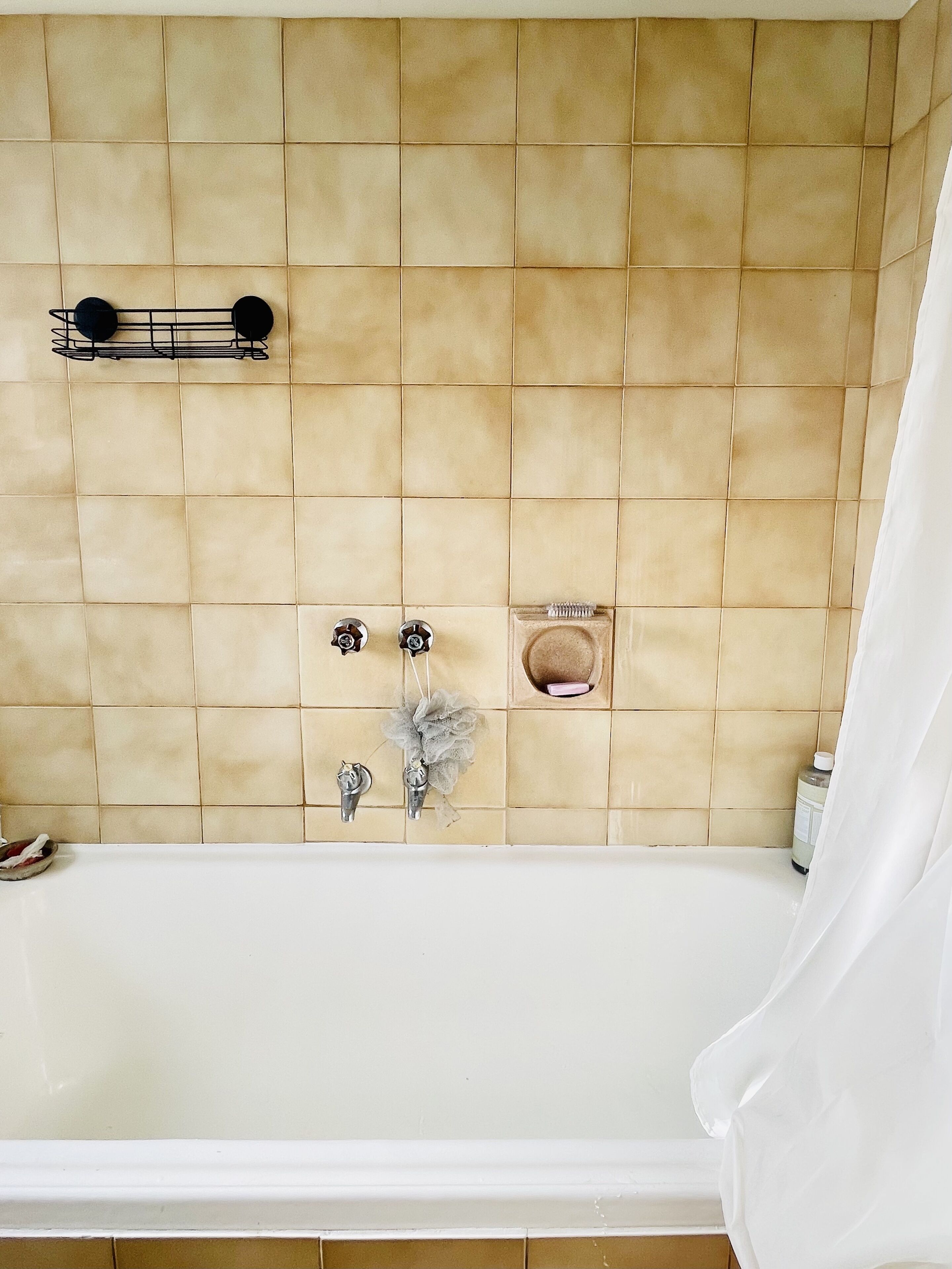 Spacious Lightfilled Apartment and Coffee Lover's Paradise!