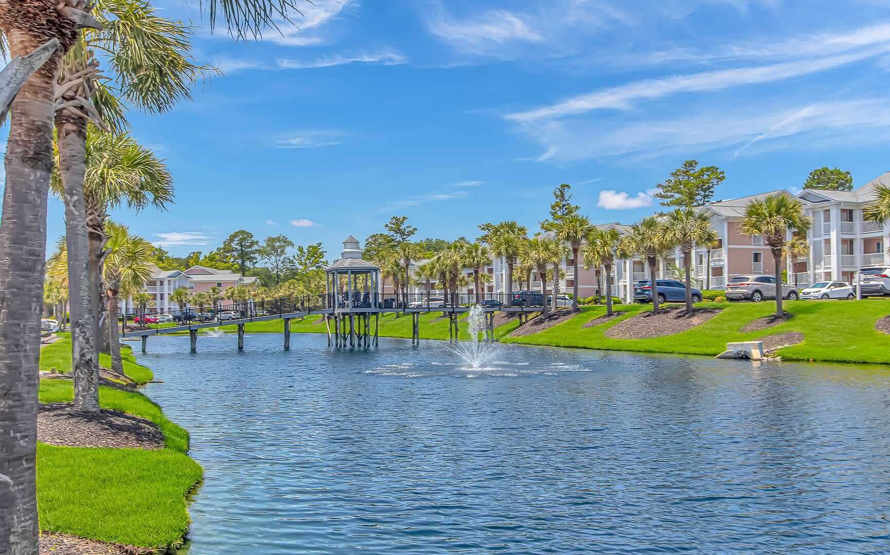 A water body with a gazebo, palm trees, and a bridge.