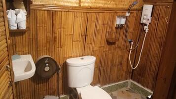 Shower, hair dryer, towels, toilet paper