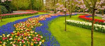 Bankan Koh Kood Resort