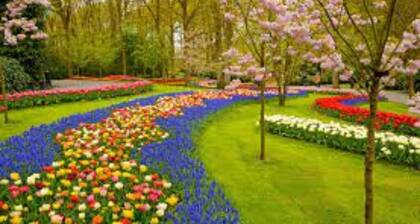 Bankan Koh Kood Resort