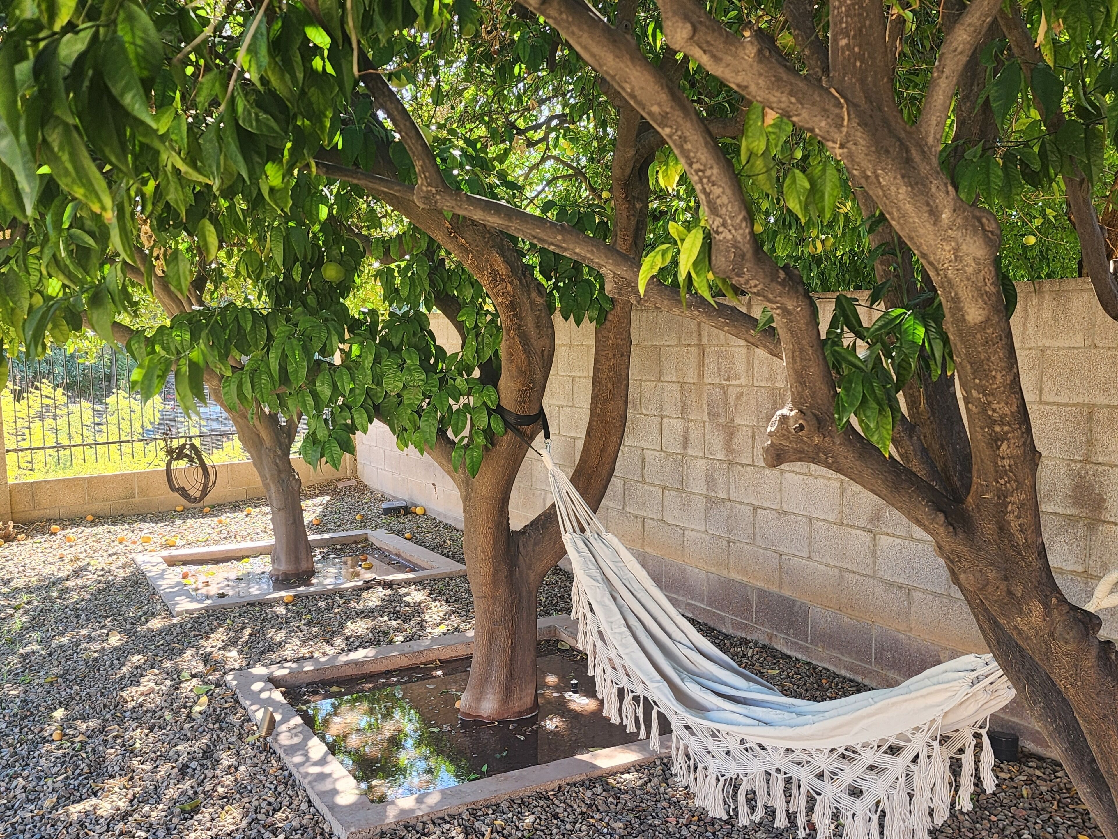 A hammock under a tree, surrounded by a stone wall and pebbles.