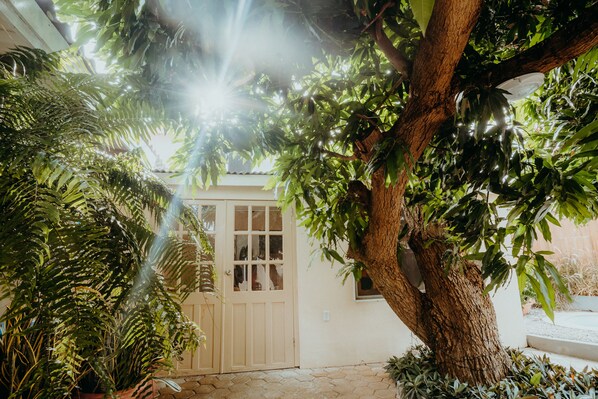 Property grounds - Vacation Under the Mango Trees (Willemstad)