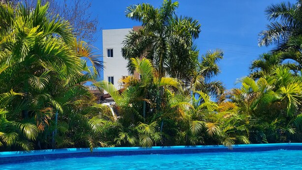 Une piscine d’un bleu éclatant, entourée de palmiers luxuriants et verdoyants, avec un bâtiment moderne en arrière-plan.