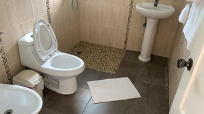 Hair dryer, towels, soap, toilet paper