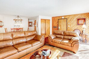 Fernseher, Kamin, DVD-Player, Videothek