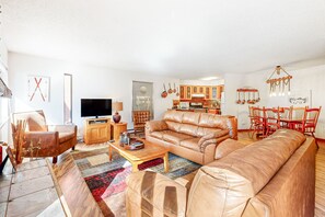 テレビ、暖炉、DVD プレーヤー、ビデオライブラリ