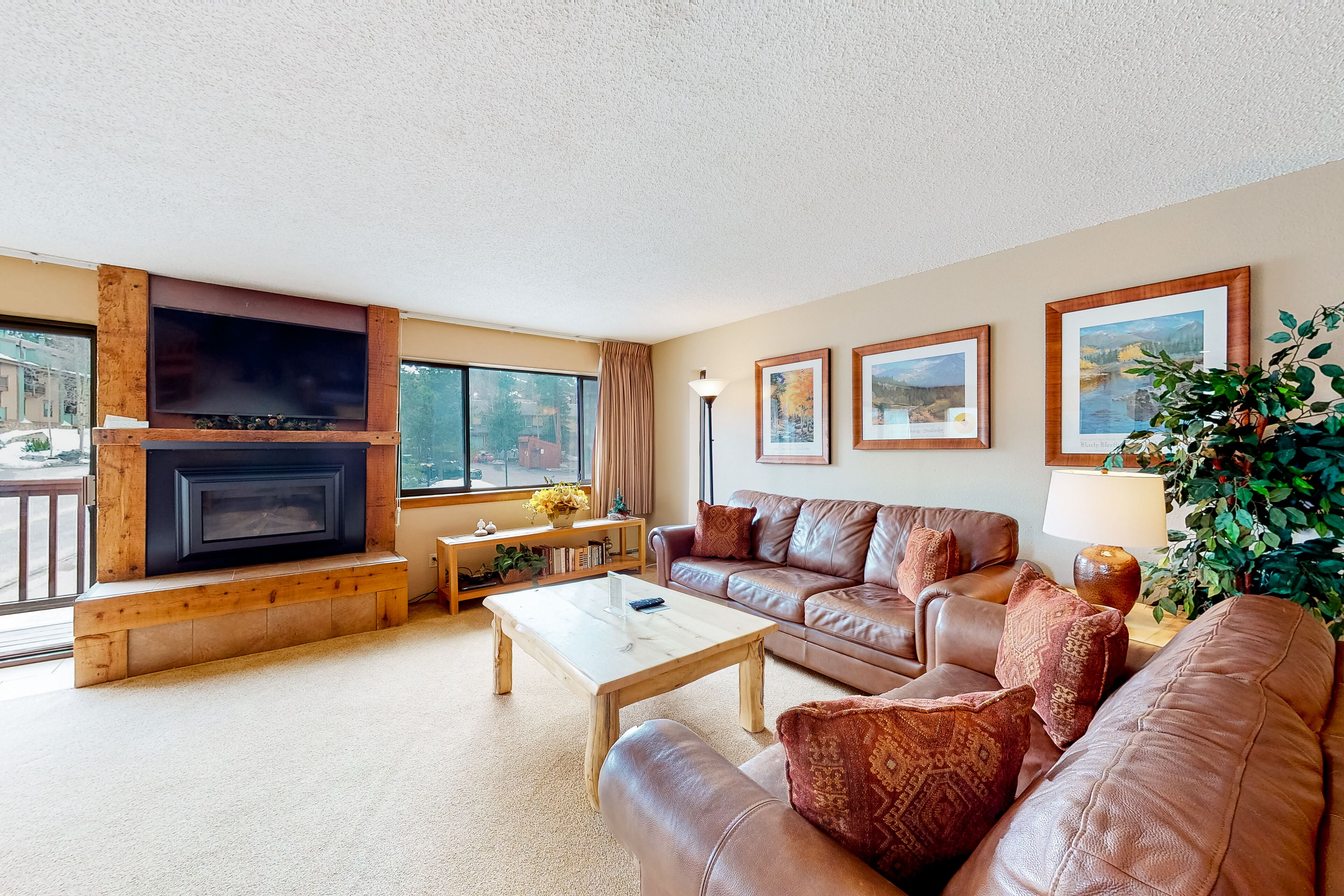 Fernseher, Kamin, DVD-Player, Videothek