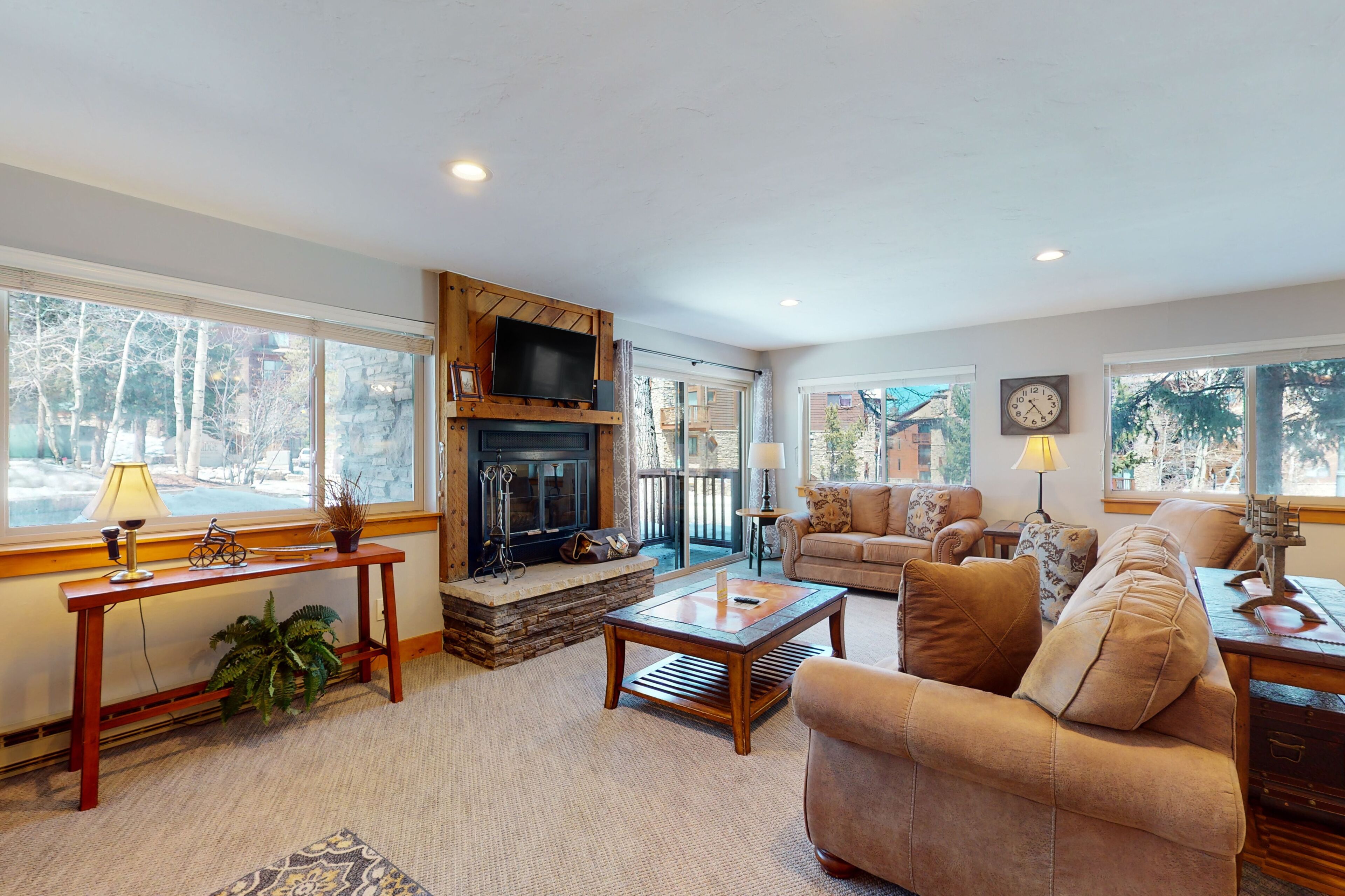 TV, fireplace, DVD player, books