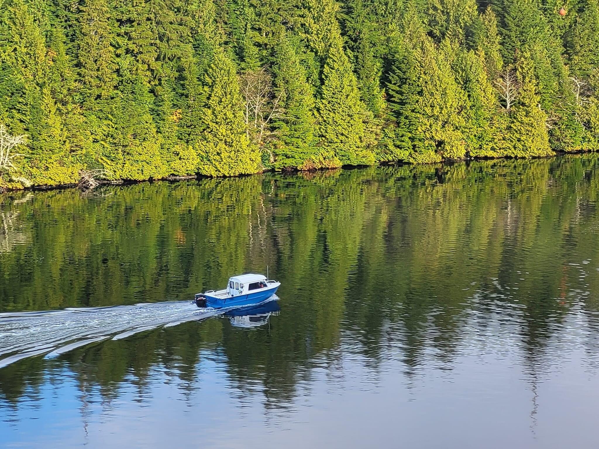 A boat moving across a calm lake surrounded by dense forest.