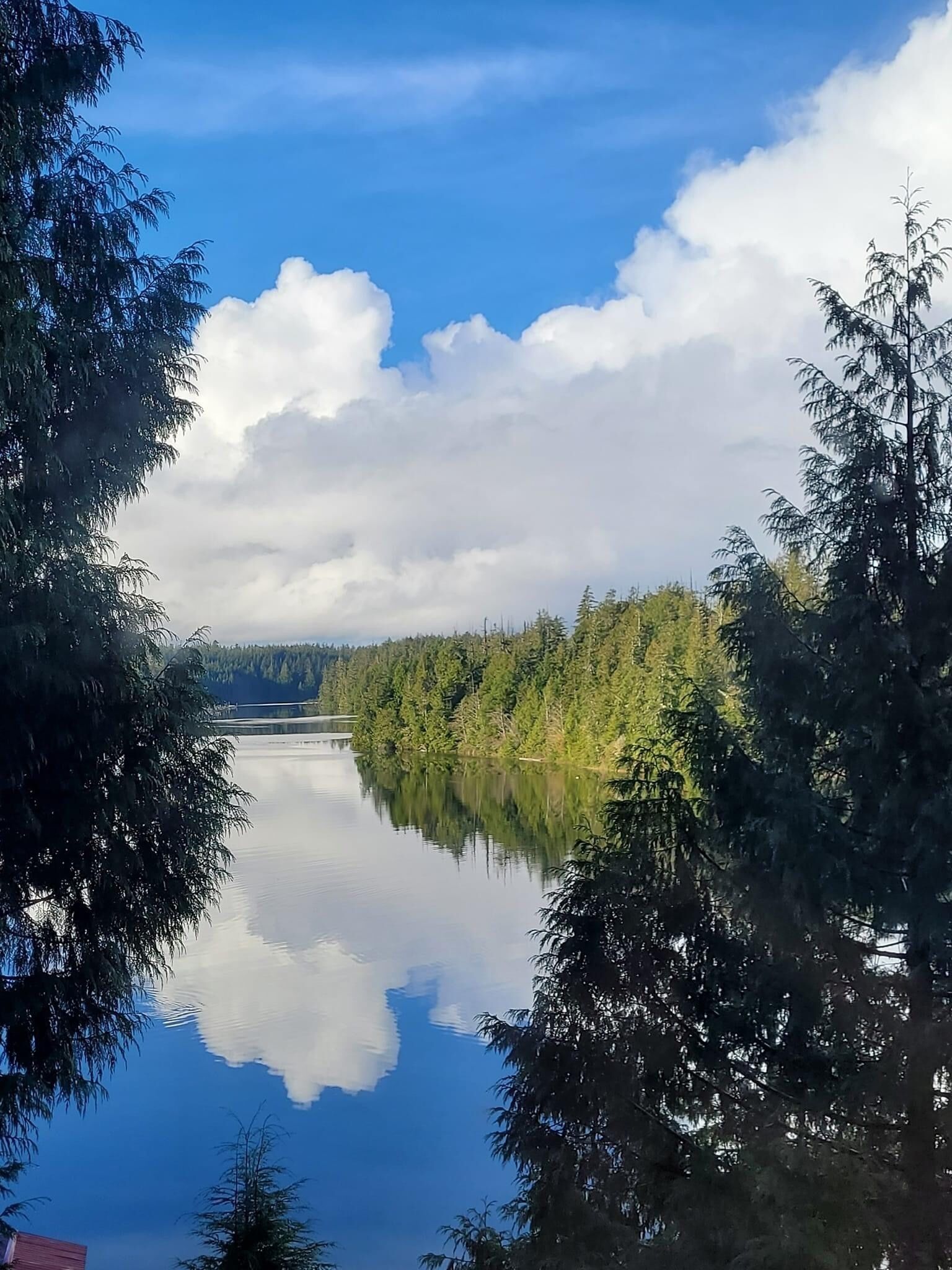 A tranquil lake surrounded by dense forest, reflecting the sky and clouds.