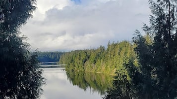 A tranquil lake surrounded by dense forest, reflecting the sky and clouds.