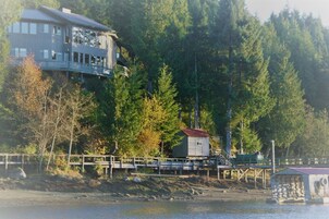 Una cabaña junto al lago con un muelle, rodeada de un bosque denso.