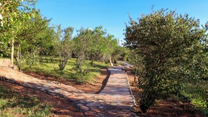 Un sendero de piedra que atraviesa un paisaje natural con árboles y arbustos.