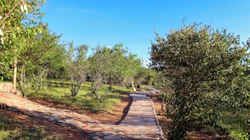 Ngoại thất