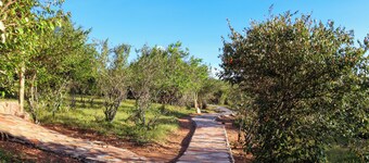 Orngatuny Mara King Camp