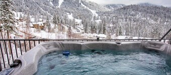 Big Mountain Haus, ski in/out.7BD 5.5BA, Hot Tub & Dry Sauna! Sleeps 22!